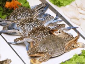 Vietnamese swimming crab exports retain access to US