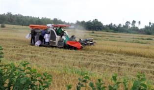 An Giang Province helps cooperatives thrive