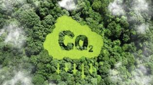 Ministry establishes monitoring framework for carbon market

