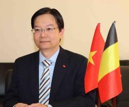 Belgian, European firms seek stronger trade, investment ties with Việt Nam