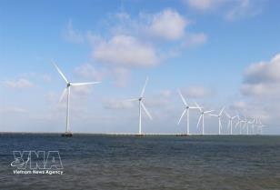 Energy sector seen as key pillar for Việt Nams green, double-digit growth ambitions