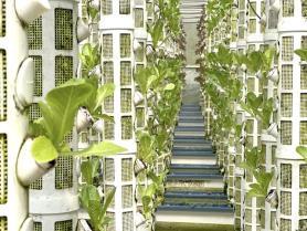 Agriculture business rating programme launched to improve access to finance