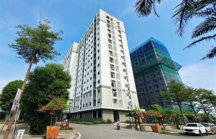 Housing access a fundamental right, key measure of social progress: top leader