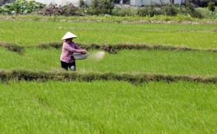Fertiliser tax policy needs adjustment to boost exports