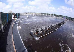 By-product goldmine opens doors for fisheries sector