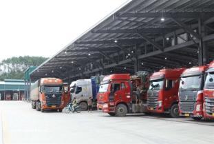 Customs revenue reaches 47.7% of annual target in five months