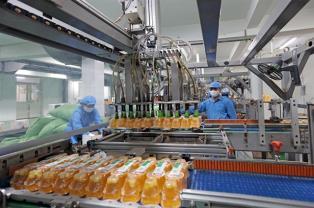 Further reforms needed to unlock private sectors growth potential