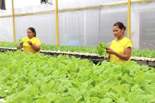 Ministry proposes 2026 tax, land rent payment deferrals to support businesses