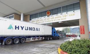 Over 16,000 tonnes of fresh lychees exported to China through Kim Thành border gate