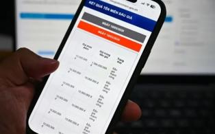 76 premium .vn domain names to be auctioned