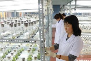 Target set for development of national industrial products