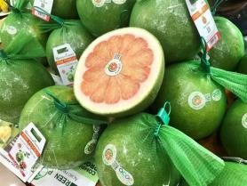 Agricultural exports increase, but face climate-related challenges
