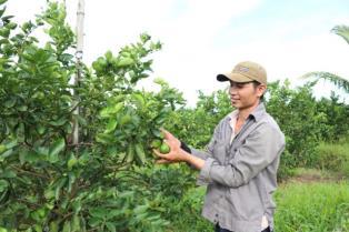 Unified farm data system needed to meet EU deforestation rules