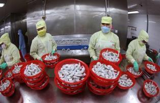Cà Mau Province exports surpass 1 billion in five months