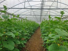 New programme targets expansion of cooperatives