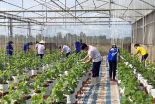 Low-emission production zones for key farm products piloted
