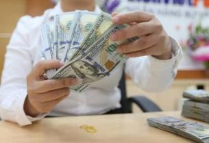Central bank warns public over foreign exchange trading risks