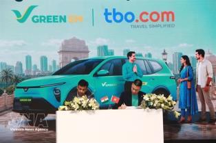 Việt Nams overseas investment rises 2.5-fold in Jan-May
