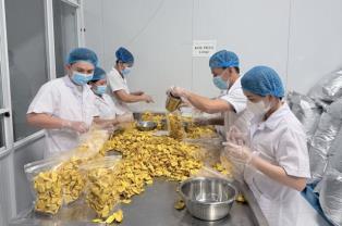 Firms remain key driver of Việt Nams economic growth: 2026 economic census