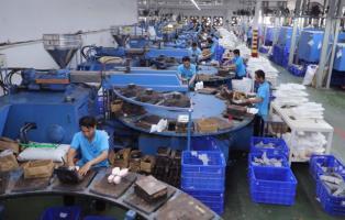 Footwear industry accelerates green transition, strengthens supply chains