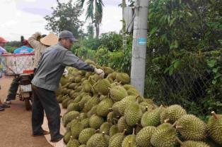Surges in fruit, vegetable imports put pressure on local produce