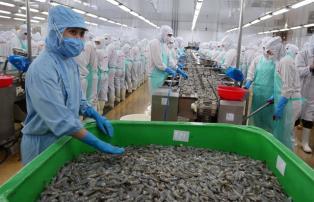 China becomes Việt Nams largest seafood export market