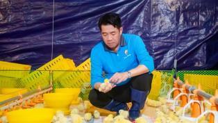 Tây Ninh removes bottlenecks to unlock high-tech agriculture ambitions