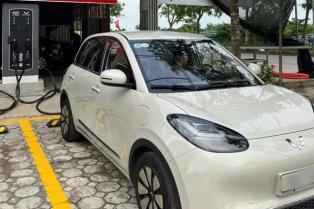 EV charging networks expand as third-party operators step up investment