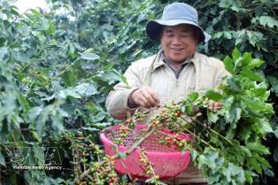 Efforts stepped up to bring Vietnamese products into supply chains in Argentina