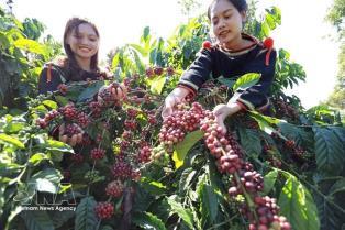 Agro-forestry-fishery exports rise 6% in first half of 2026