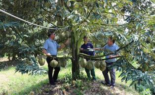 Việt Nam to have sustainable management of growing area codes