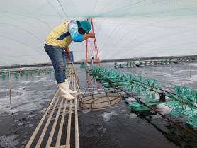Vĩnh Longs industry, services drive economic growth in first half