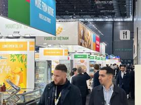 French exhibition organiser Comexposium expands in Việt Nam, betting on trade fair demand