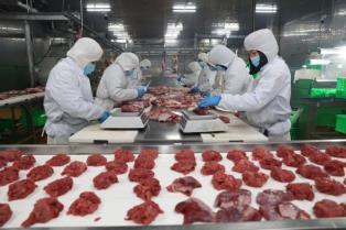 Livestock firms race to meet tougher global standards as export markets tighten