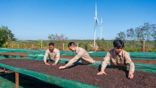 Việt Nam, New Zealand seek new impetus for trade ties