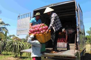Exporters urged to adapt as EU tightens food safety rules