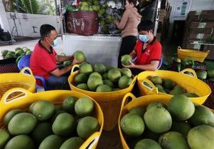 Turkish cooperatives open sourcing channel for Vietnamese businesses