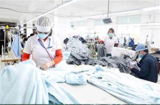 Việt Nams exports to New Zealand post strong growth