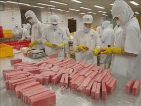 Vietnamese businesses advised to rethink strategies to expand market share in US
