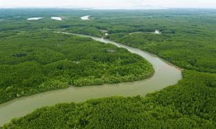 Carbon market needs greater liquidity