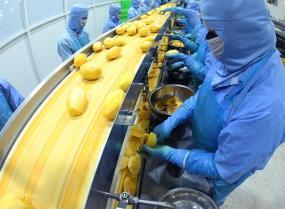 Fruit and vegetable exports hit 1 billion for second straight month