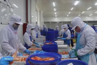 Việt Nams economy expected to grow 11% in 2027
