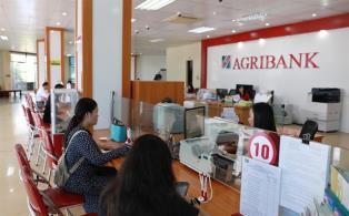 Twelve banks roll out 15.5 billion preferential credit for SMEs, growth drivers