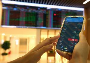Việt Nam has millions of stock accounts, but few long-term investors
