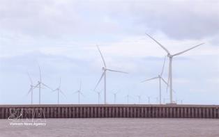 Cà Mau taps clean energy with three wind power projects worth over 239 million