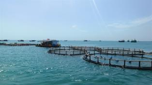 From marine economy to a strong maritime nation: A new vision for Việt Nams future