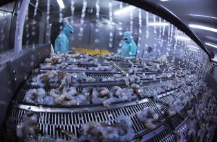 Agro-forestry-aquatic product exports rise nearly 12 per cent in July