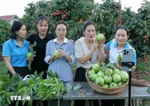 Vietnamese goods gain ground on e-commerce platforms during National Day holiday
