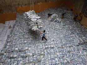 Việt Nams rice exports reach 2.91 billion in eight months