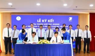 VNPT, VRG cooperates to build digital IP model